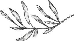 Branches and leaves decoration