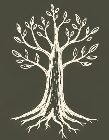 Conexão com a Natureza