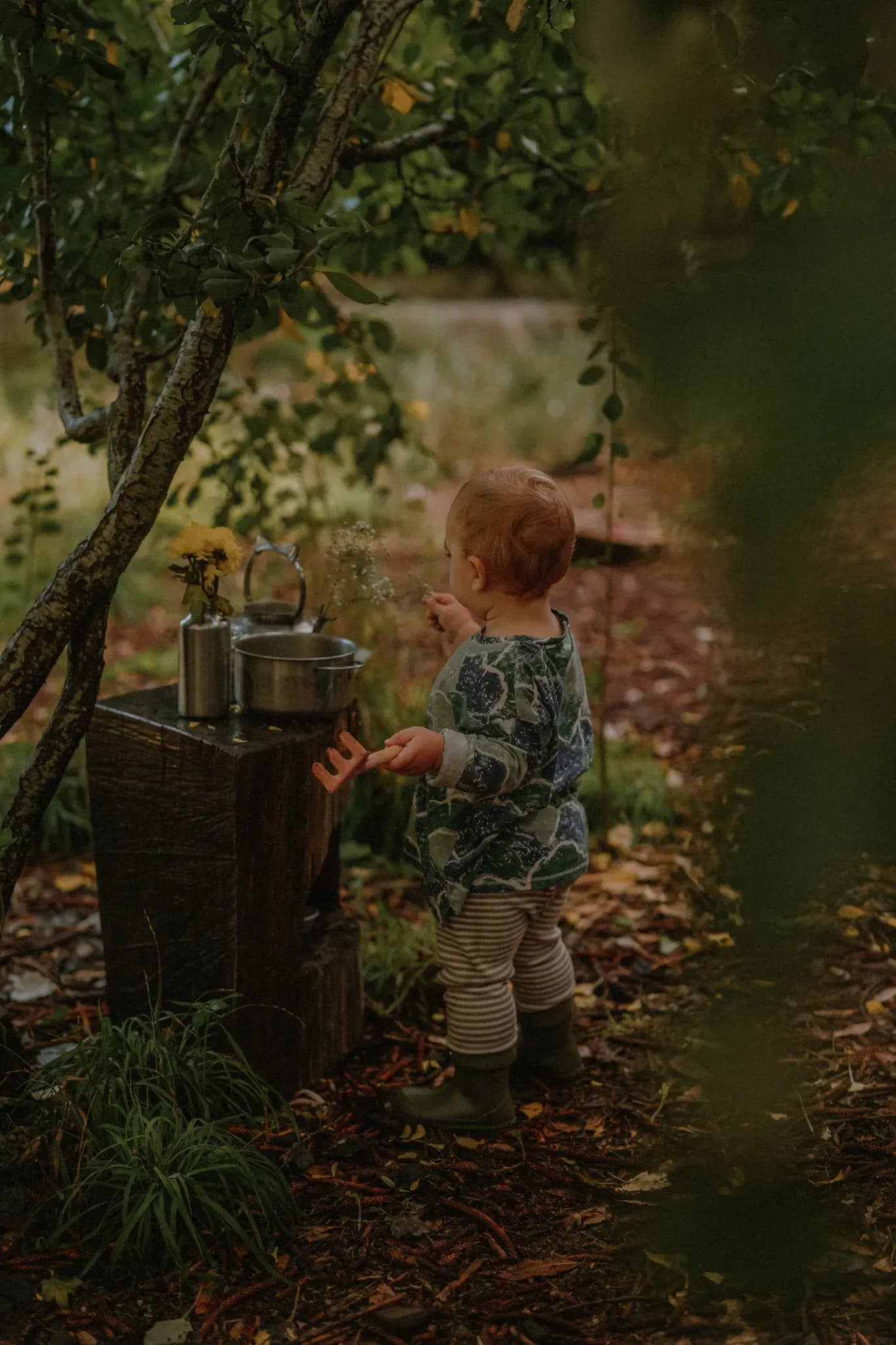 Crias na Floresta, Forest School