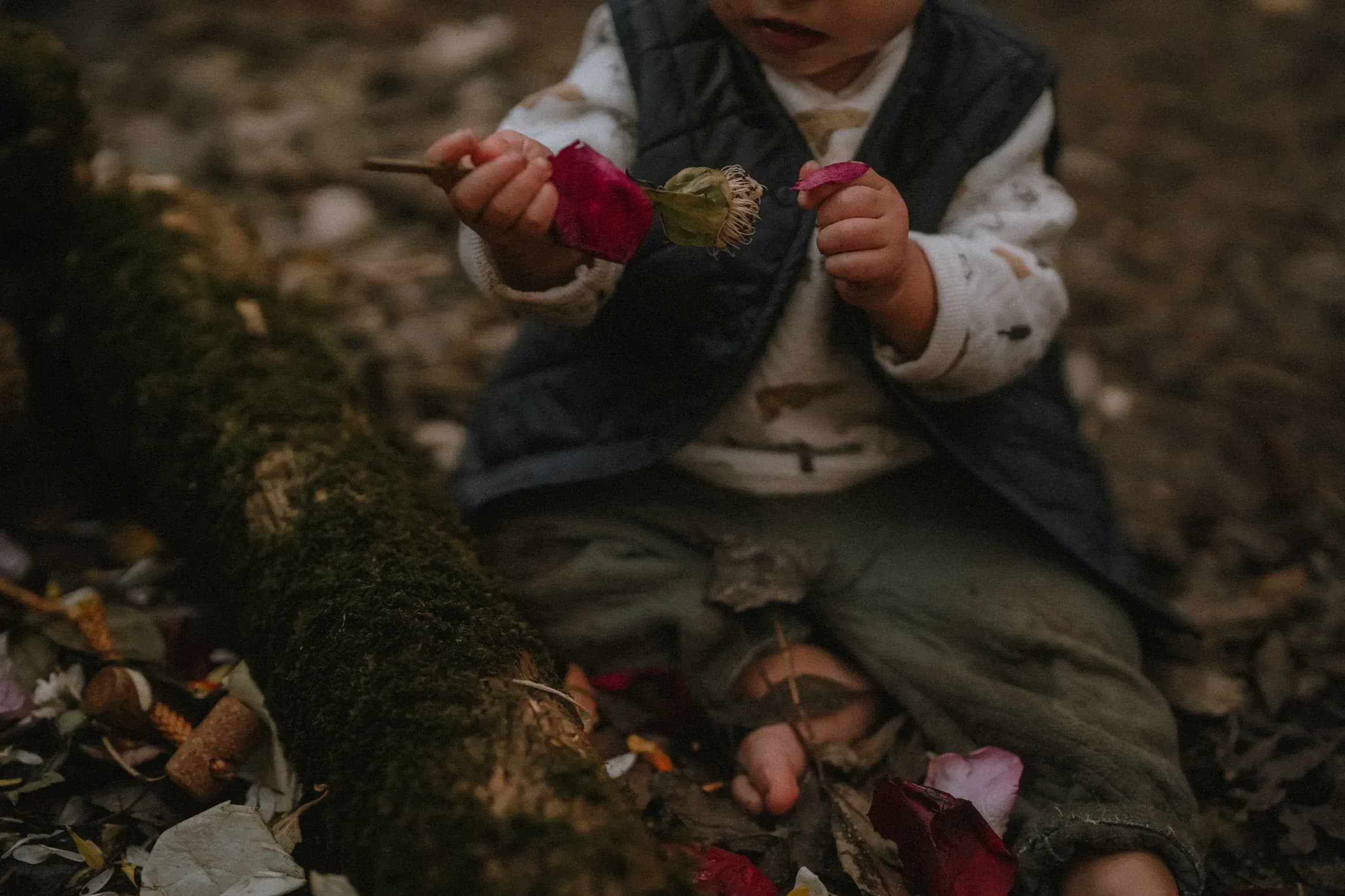 Crias na Floresta, Forest School