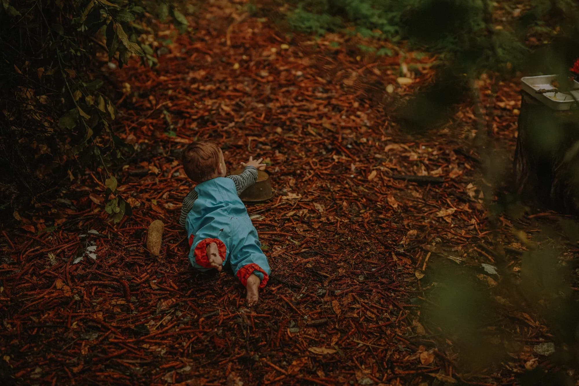 Crias na Floresta, Forest School