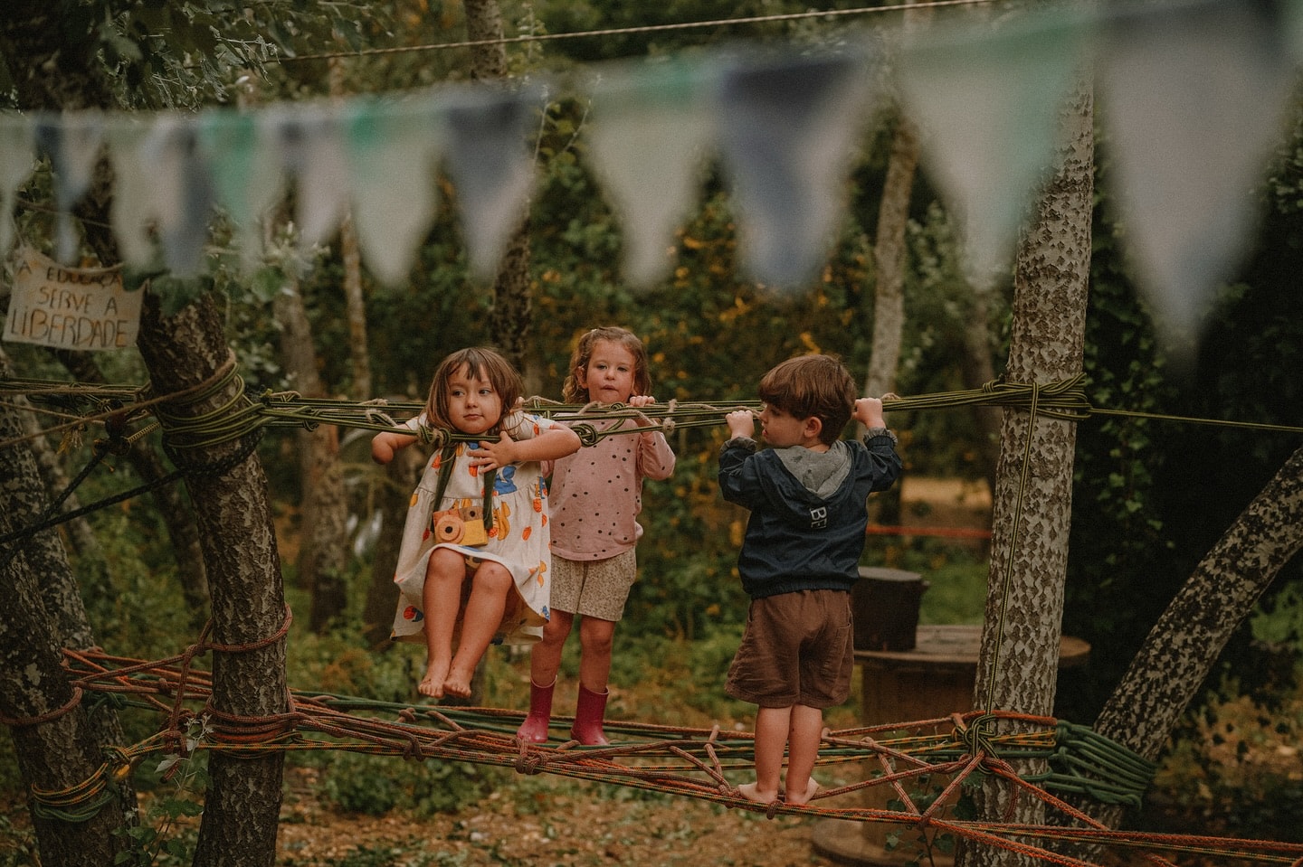 Guardiões da Floresta